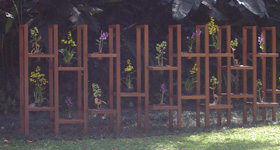 Reforma